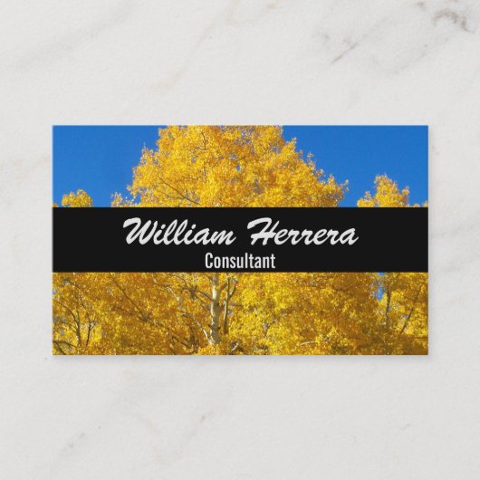 写真テンプレートエレガントはっきりしたレイアウト100ボックス 名刺 (正面)