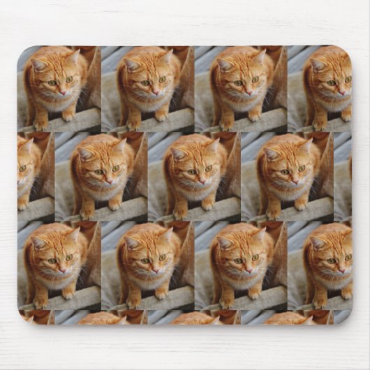 写真テンプレートカスタムコラージペットファミリー マウスパッド (正面)