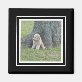 写真テンプレートカスタムトゥルーブラック&ホワイト マグネット