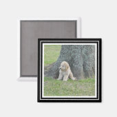 写真テンプレートカスタムトゥルーブラック&ホワイト マグネット (正面/裏面)