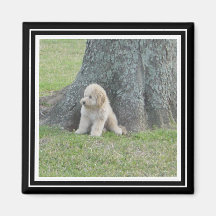 写真テンプレートカスタムトゥルーブラック&ホワイト