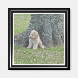 写真テンプレートカスタムトゥルーブラック&ホワイト マグネット