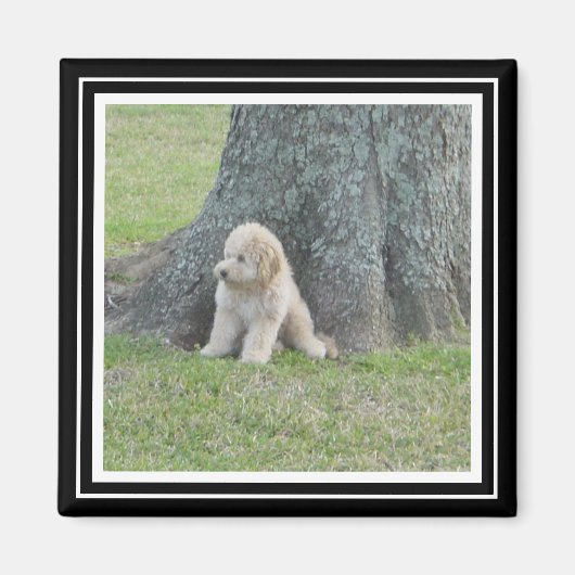 写真テンプレートカスタムトゥルーブラック&ホワイト マグネット (正面)