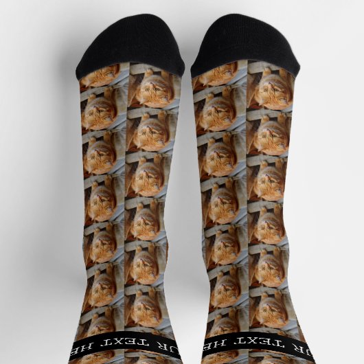 写真テンプレートペットキャットドッグファパーソナライズされたミリ ソックス (上部)