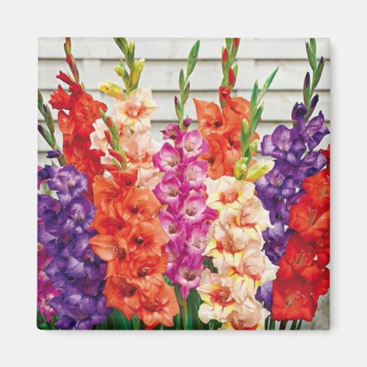 写真テンプレート2 x 2角冷蔵庫磁石 マグネット (正面)