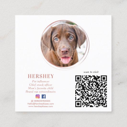 写真バラエレガント金ゴールドドッグペットソーシャルメディア スクエア名刺 (裏面)