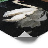 写真パッチワーク – 鳥 ポスター (角)