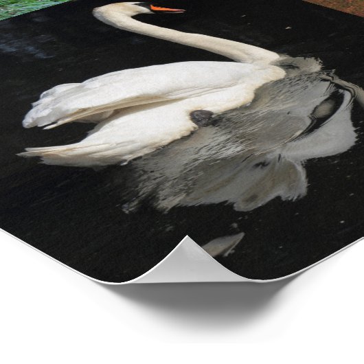 写真パッチワーク – 鳥 ポスター (角)