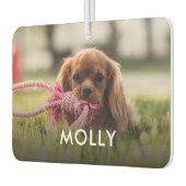 写真パーソナライズされたとペットの名前の一種 カーエアーフレッシュナー (左)