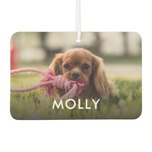 写真パーソナライズされたとペットの名前の一種 カーエアーフレッシュナー (正面)