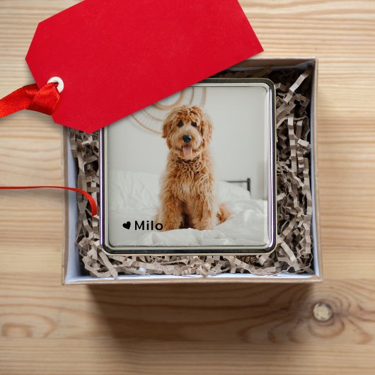 写真パーソナライズされたとペットの名前 メタルオーナメント