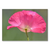 写真パーソナライズされたと名前 テーブルナンバー (裏面)