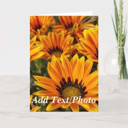 写真パーソナライズされたと文字 カード (正面)