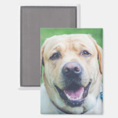 写真パーソナライズされたまたは芸術 マグネット (正面/裏面)