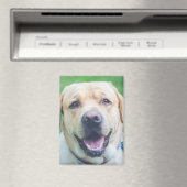 写真パーソナライズされたまたは芸術 マグネット (インサイチュ (食洗機))