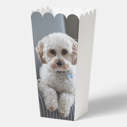 写真パーソナライズされたカスタム作成 フェイバーボックス (正面)