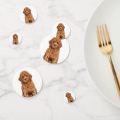 写真パーソナライズされたカスタム画像名文字 コンフェッティ (グループ)