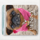 写真パーソナライズされたスキャン可能QRコード