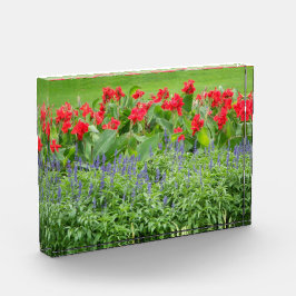 写真パーソナライズされたブロック フォトブロック