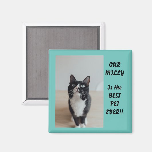 写真パーソナライズされたマグネットペ最高のットEver マグネット (正面/裏面)