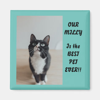 写真パーソナライズされたマグネットペ最高のットEver マグネット