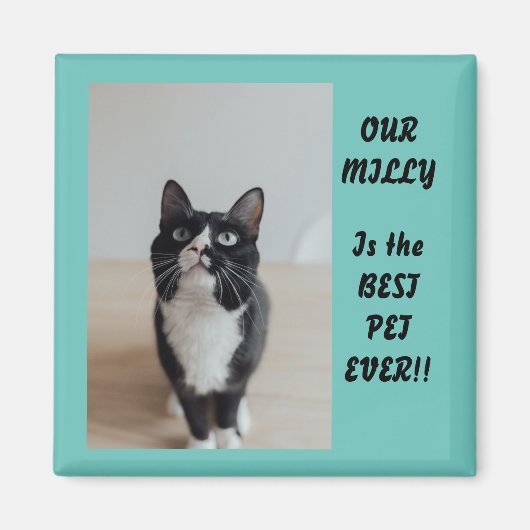 写真パーソナライズされたマグネットペ最高のットEver マグネット (正面)