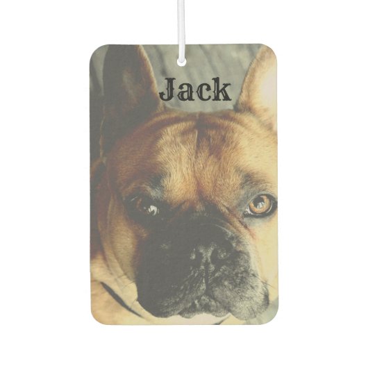 写真パーソナライズされた名かわいい犬ペット カーエアーフレッシュナー (正面)