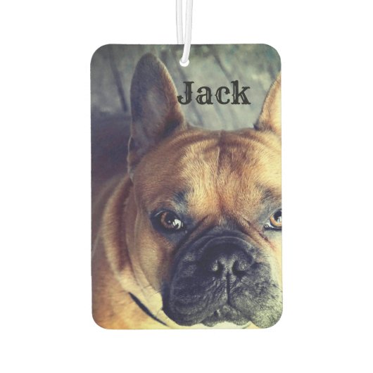 写真パーソナライズされた名かわいい犬ペット カーエアーフレッシュナー (裏面)