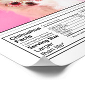 写真パーソナライズされた犬は事実チワワ ポスター (角)