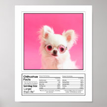 写真パーソナライズされた犬は事実チワワ