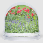 写真パーソナライズされた (正面)