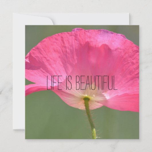 写真パーソナライズされた (正面)