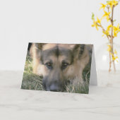 写真パーフェクトかわいい子犬 カード (黄色い花)
