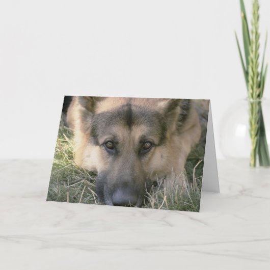 写真パーフェクトかわいい子犬 カード (正面)