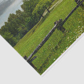 写真パーフェクトバーンが夏の牧草地に眠る 薄葉紙 (詳細)