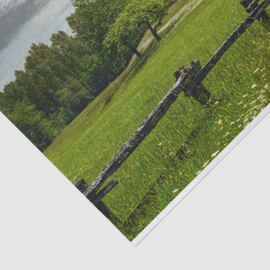 写真パーフェクトバーンが夏の牧草地に眠る 薄葉紙 (詳細)