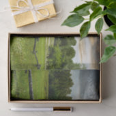 写真パーフェクトバーンが夏の牧草地に眠る 薄葉紙 (ギフト)