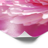 写真ピンク牡丹 フォトプリント            (角)