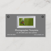 写真フレーム（昆虫）オオカバマダラ、モナークバタフライフォトグラファー 名刺 (正面)