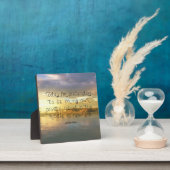 写真プラーク フォトプラーク (インサイチュ)