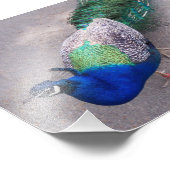 写真プリント フォトプリント            (角)