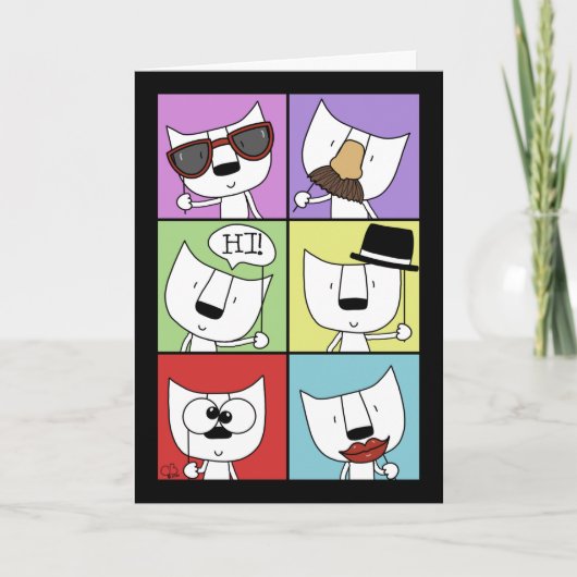 写真プロップス猫 カード (正面)