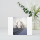 写真ホンリー ポストカード (スタンド正面)