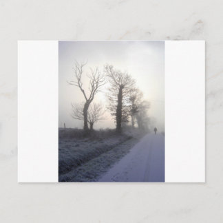 写真ホンリー ポストカード