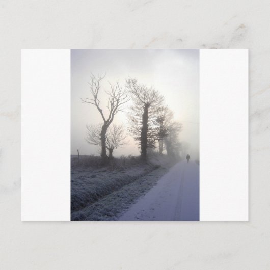 写真ホンリー ポストカード (正面)