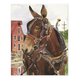 写真ポスター、ラバ フォトプリント           