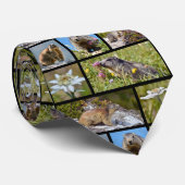 写真モザイクAlpine marmotsとedelweiss Neck Ti ネクタイ (ロール)