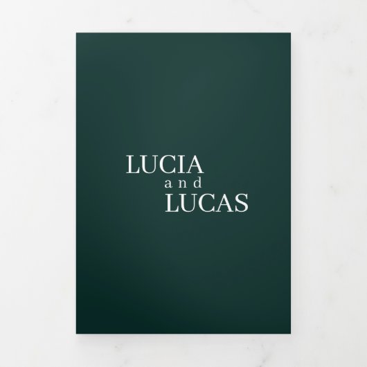 写真モダンエメラルドグリーンオールインワン結婚ズ 三つ折りプログラム (カバー)