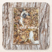 写真モダンコラージュ犬のペットおもしろい スクエアペーパーコースター (正面)