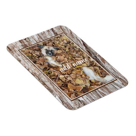 写真モダンコラージュ犬のペットおもしろい マグネット (右側)